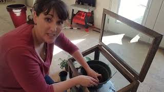 DIY Terrarium Build | ❤️ Mini Plants