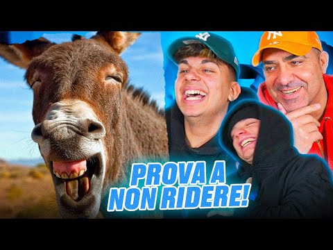 Try NOT to laugh CHALLENGE (with zerbianpapy and sos)