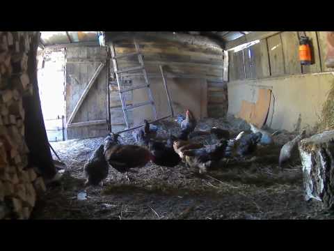 У холодной печи не согреешься...Докупили дрова