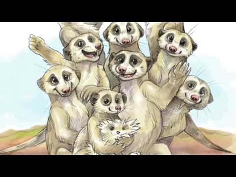 That's Not How We Do It Here!