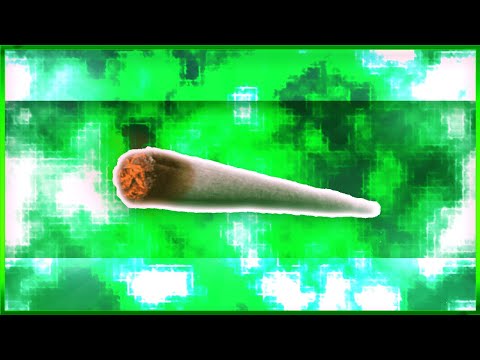 So baust DU einen JOINT! - Anfänger Tutorial | MindChange