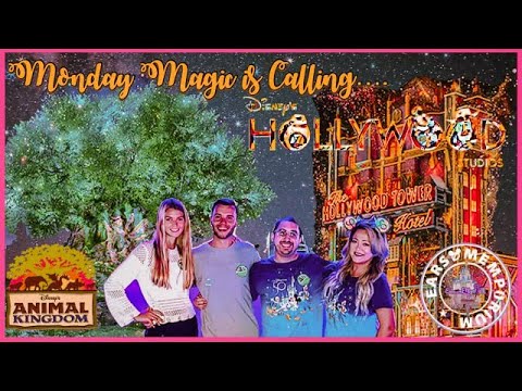 🔴 Live: Magical Monday At Disney's Animal Kingdom|Disney KiteTails
