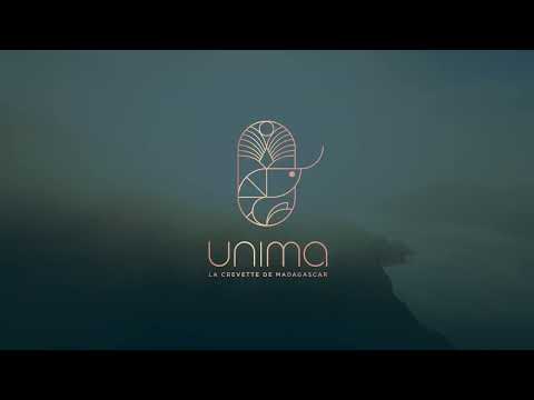 Camarão Selvagem Cozido 30/40 Madagáscar kg