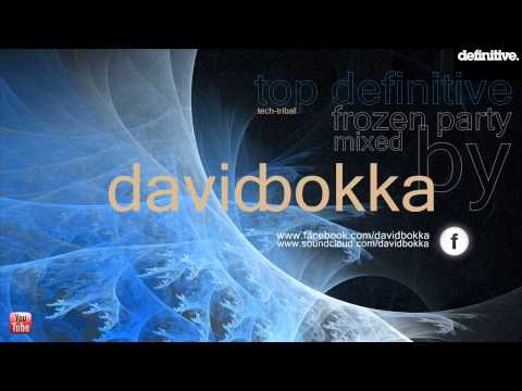 Definitive Recordings 2013 Top 10 (Mixed by David Bokka)