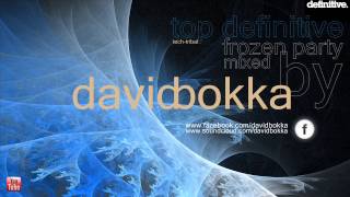 Definitive Recordings 2013 Top 10 (Mixed by David Bokka)
