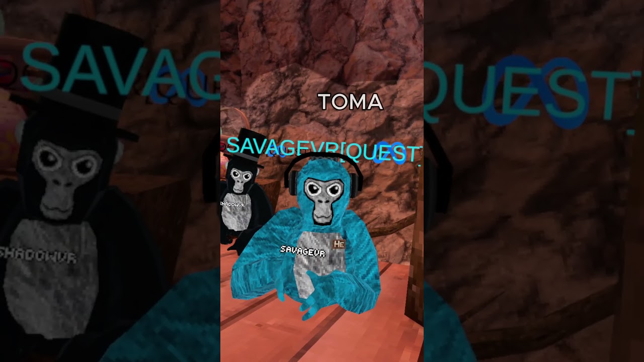 TOMA TOMA GTAG EDIT w/ @OfficialR4in  Creds to: @BeansOnVR #fyp #funny #gorillatag #shorts