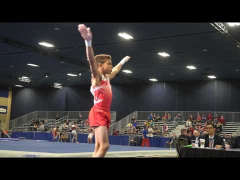 Samuel Phillips - Vault - 2017 Winter Cup Prelims
