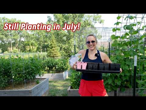 July Planting Guide: Kickstarting My Fall Garden Plans