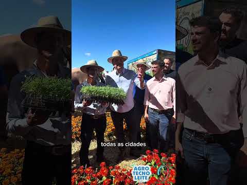 Evento realizado no interior de Goiás exposição de flores zinnia #plantas #paisagismo #novidade