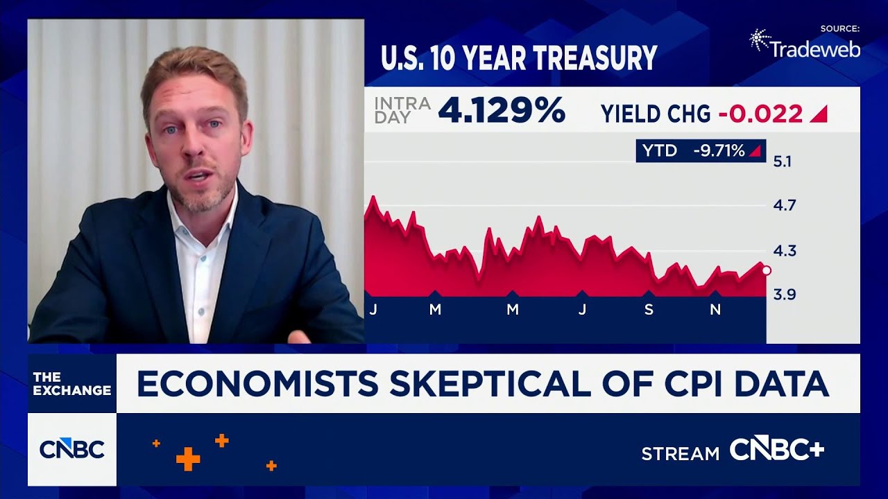 CPI data provided 'downwardly biased view of inflation,' says EY-Parthenon's Daco