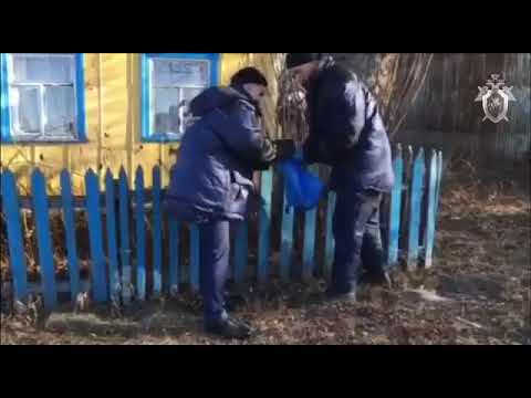 В Саратовской области продолжаются поиски пропавшего 12-летнего Артура Шмыглева