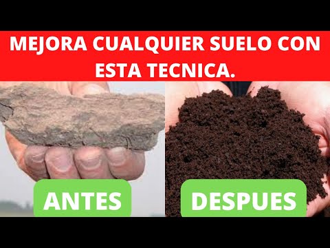 , title : 'Como mejorar tu suelo con manejo Biointensivo - técnica DOBLE EXCAVACION.'