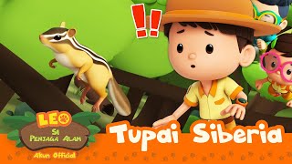 Download lagu Pipi TUPAI ini bisa MELEDAK! π° | Tupai Siberia | Leo Si Penjaga Alam | #minisode mp3 Download lagu Pipi TUPAI ini bisa MELEDAK! π° | Tupai Siberia | Leo Si Penjaga Alam | #minisode mp3