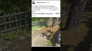 クセ強な子供達ｗｗ