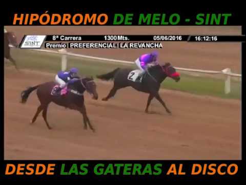 8° Carrera – 1° Wonder Boy (SINT-MELO)