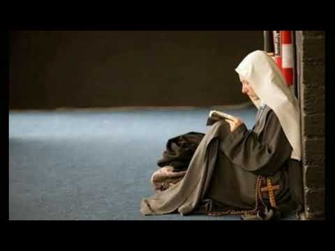 Amor Purificado - Fraternidade o Caminho