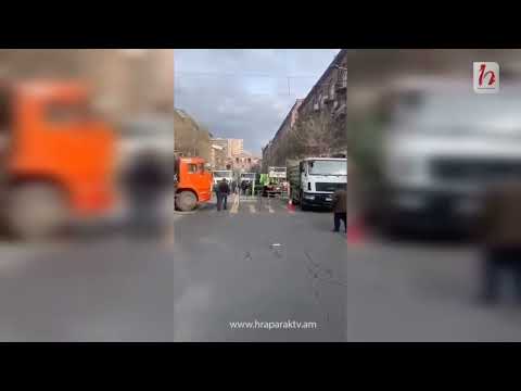 Ծառերի հերթական սպանդը Երևանում