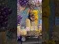 Happy Birthday Junnu Junnu Birthday Videos Junnu Birthday Celebrationvideos Birthday Videos Junnu