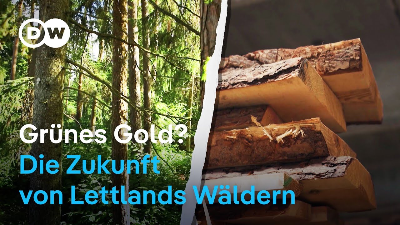 Lettland: Wirtschaftswachstum oder Waldschutz? | DW Nachrichten