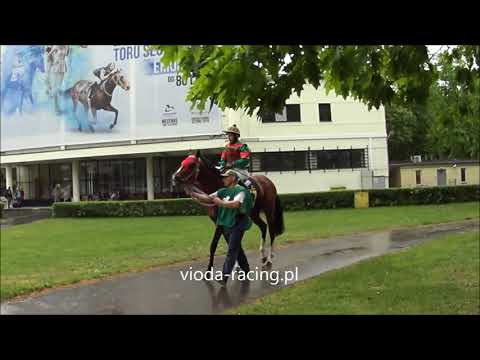 Gon. IV - 12.05.2019 - Design (Lord of England - Dark Angel)