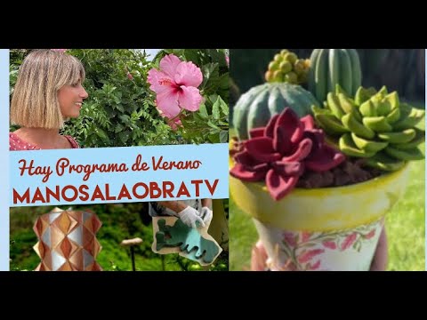 Manos a la Obra Verano 2022 Torta Suculentas - Pintar con Aerosol - Torta Dorada