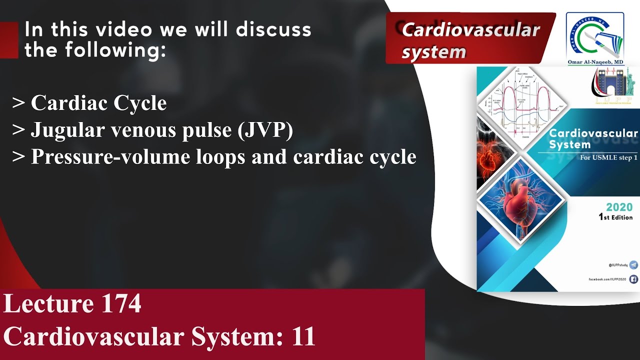 Pressure-volume loops and Cardiac Cycle | Jugular venous pulse (JVP) | Normal cardiac pressures