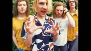 Paperback Life - Mudhoney