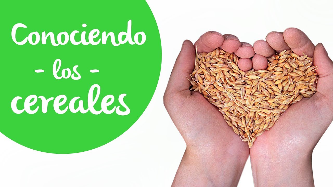 Watch Cereales: Cuáles son, dónde se encuentran, cuáles deberías consumir y por qué Now Cereales: Cuáles son, dónde se encuentran, cuáles deberías consumir y por qué