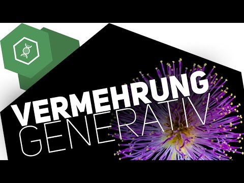 How do plants reproduce?! - Generative reproduction