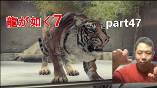 【龍が如く7】part47 また虎かよ・・・　趙を救うために平安樓に来たのはいいものの手荒い歓迎。