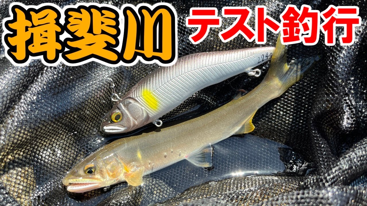 新作バイブのテストで揖斐川に行ってきました【アユイング】