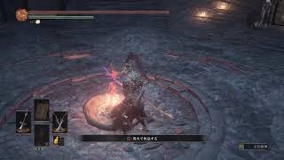 ダクソ3  久しぶりにやる