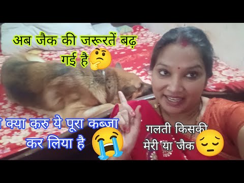 Being a mother is not easy🥹 you have to fulfill a lot of responsibilities #funnydog #delyvlog #ja...