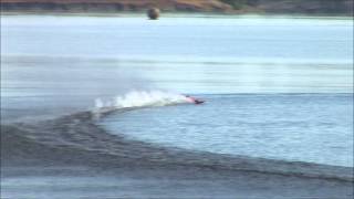 preview picture of video 'Wasp at Lake Eppalock'