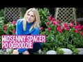Odkryj Ciekawe Odmiany Tulipanów Spacer Po Naszym Ogrodzie