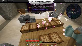 Découvrez le serveur Minecraft PLS