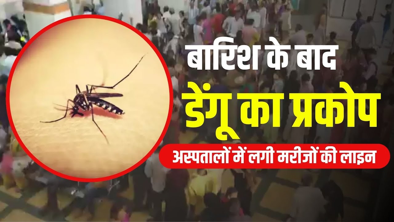 बारिश के बाद बढ़ रहें डेंगू के मरीज, अस्पतालों में लग रही लाइन