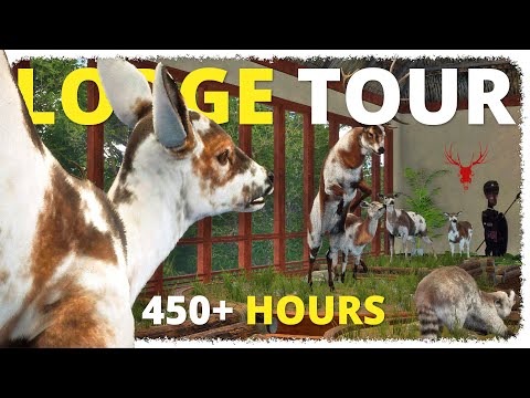 450 HOURS in CotW… Here’s What I Have to Show For It | theHunter: Call of the Wild