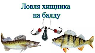 Ловля щуки на балду летом