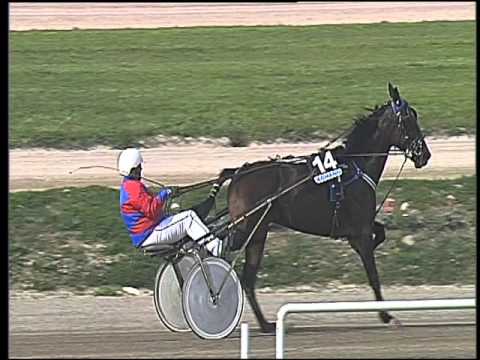 Trotto 03/04/2016 - 4° Corsa