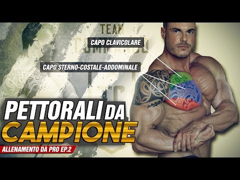 Trattamento della protrusione intervertebrale del rachide cervicale La menopausa e le articolazioni