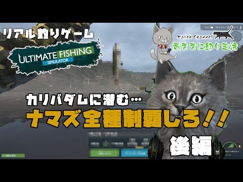 Steam Community Video Ultimate Fishing Simulator攻略 ダムのナマズ 全部釣る 後編 気ままに釣り生活