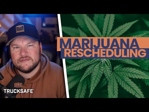 What will Trump's marijuana rescheduling mean for DOT drug testing?