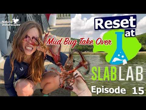 Slab Lab Pond Recovery Hit a Major Setback | Crawfish Problem (Episode 15)