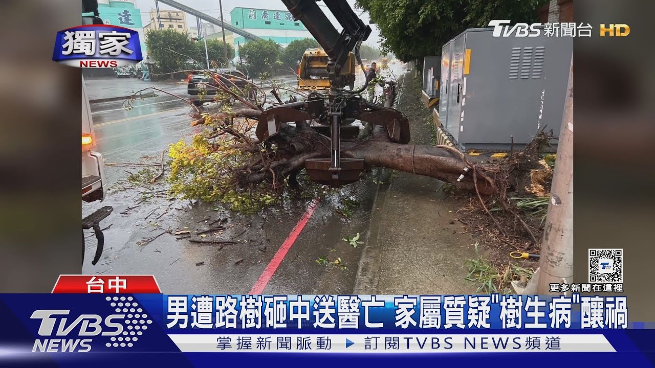 求行車影像!男騎士遭路樹砸亡 家屬質疑「樹生病」釀禍