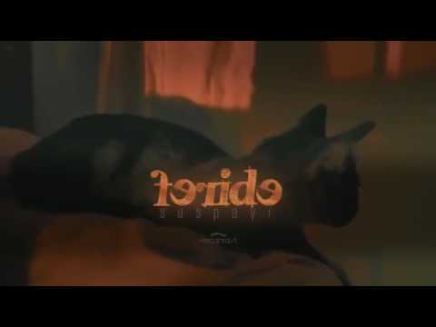 Feride Hilal Akın - Sus Payı