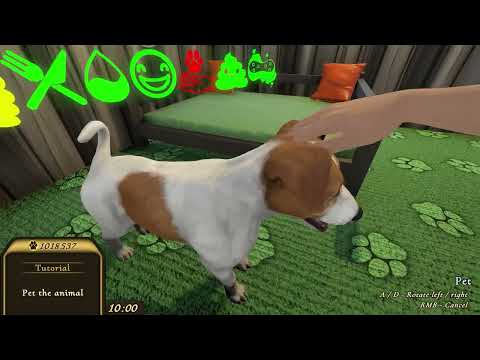 Pets Hotel Gameplay / Review - YouTube