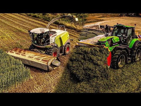 **La Jaguarona** Claas Jaguar 970 + Domai mpd 612 | Landini | New holland | Deutz fahr