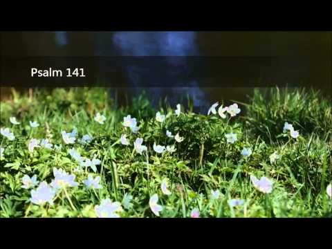 Psalm 141 - Denn auf dich, HERR, sehen meine Augen!