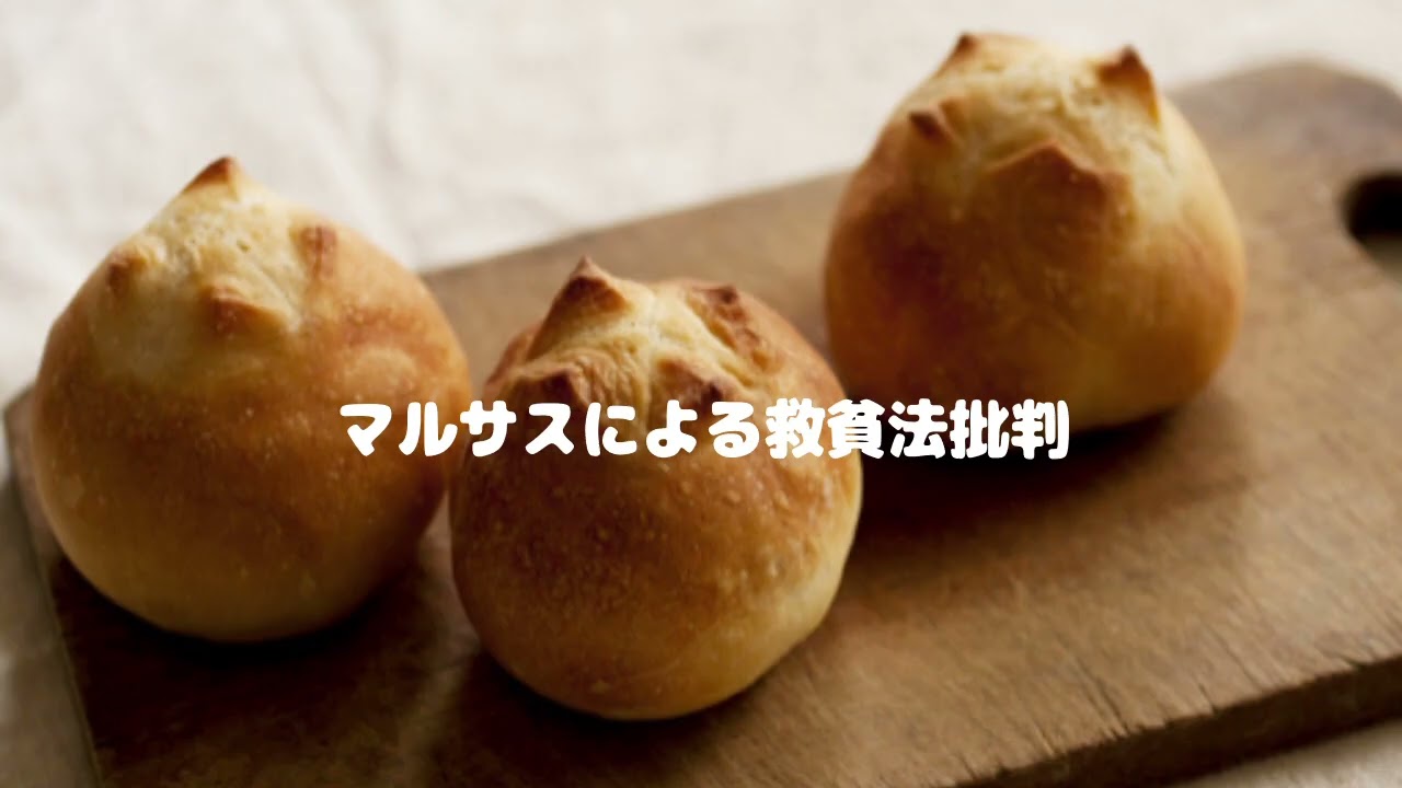 第8752回　マルサスによる救貧法批判　2026.03.29
